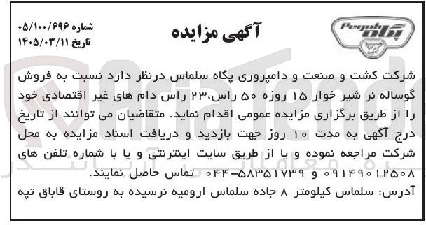 تصویر کوچک آگهی فروش گوساله نر شیر خوار ۱۵ روزه ۵۰ راس ۲۳ راس دام های غیر اقتصادی