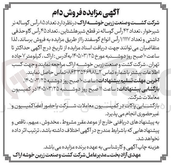 تصویر کوچک آگهی فروش گوساله نر، گواسه نر قطع شیر، گاو حذفی و گوسفند