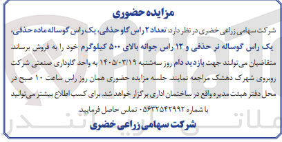 تصویر کوچک آگهی فروش دام شامل گاو حذفی، گوساله ماده حذفی، گوساله نر حذفی، جوانه بالای 500 کیلوگرم