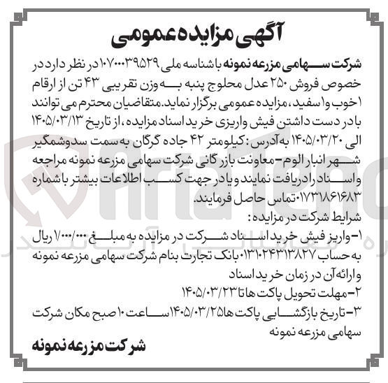 تصویر کوچک آگهی فروش ۲۵۰ عدل محلوج پنبه به وزن تقریبی ۴۳ تن