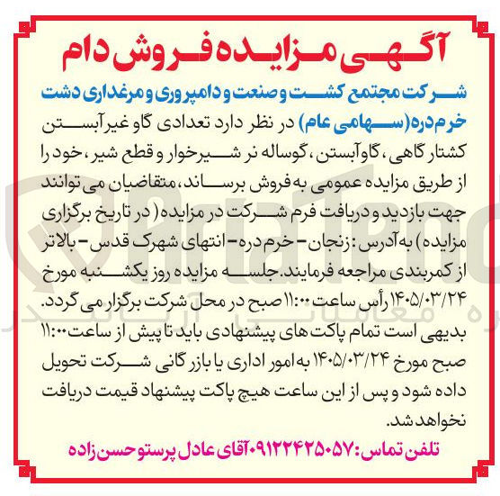فروش تعدادی گاو غیر آبستن کشتارگاهی گاو آبستن گوساله نر شیر خوار و قطع شیر خود