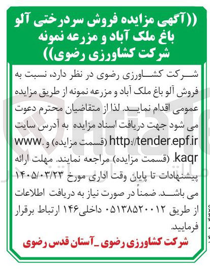 تصویر کوچک آگهی  فروش سردرختی آلو