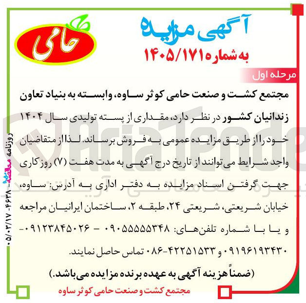 تصویر کوچک آگهی فروش مقداری از پسته تولیدی