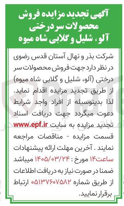 تصویر کوچک آگهی  فروش محصولات سر درختی آلو شلیل و گلابی شاه میوه