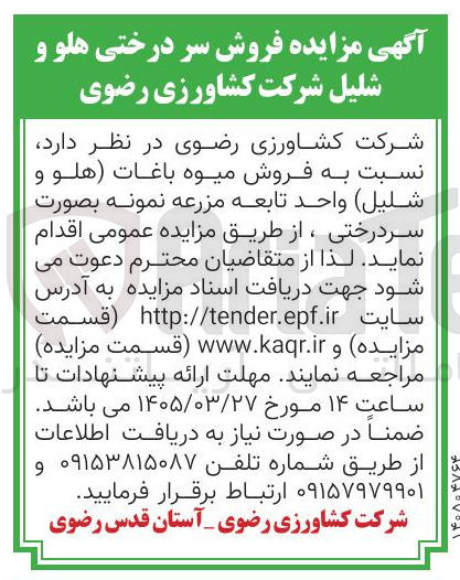 تصویر کوچک آگهی فروش میوه باغات هلو و شلیل
