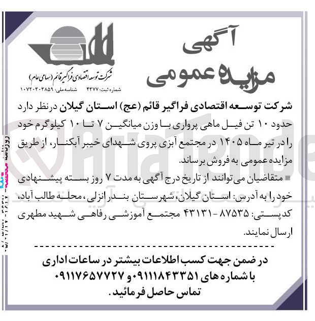 تصویر کوچک آگهی فروش حدود ۱۰ تن فیل ماهی پرواری با وزن میانگین ۷ تا ۱۰ کیلوگرم