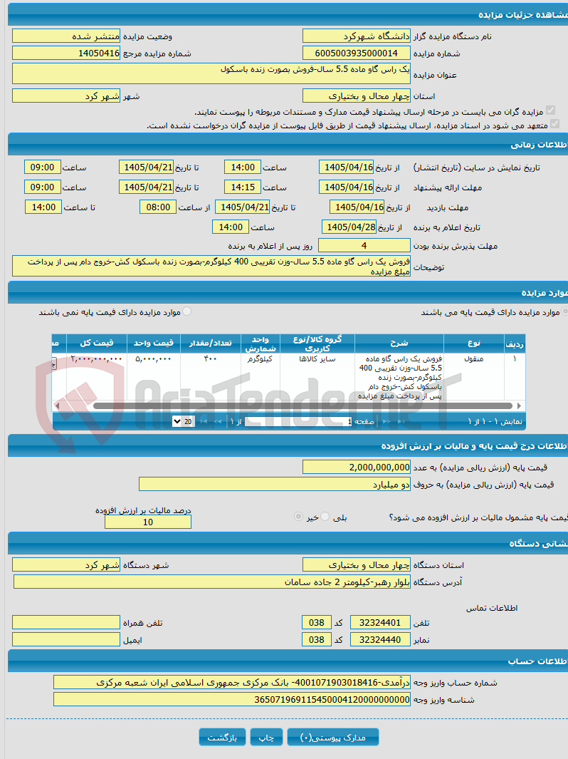 تصویر کوچک آگهی یک راس گاو ماده 5.5 سال-فروش بصورت زنده باسکول