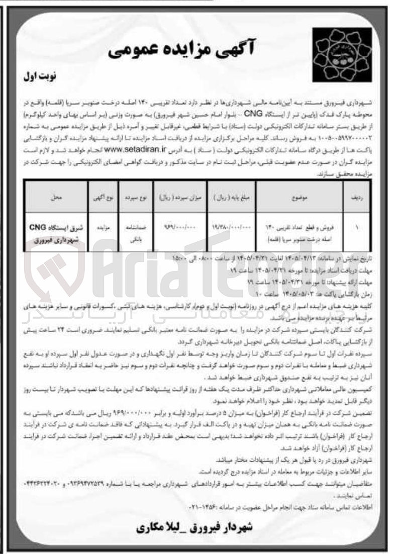 تصویر کوچک آگهی فروش و قطع ۱۴۰ اصله درخت صنوبر سریا (قلمه)