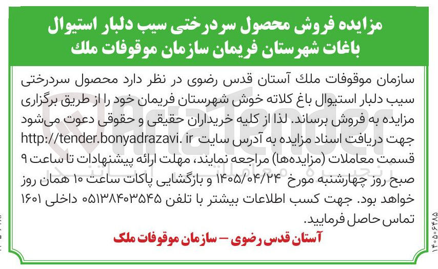 تصویر کوچک آگهی فروش محصول سردرختی سیب دلبار استیوال باغات شهرستان فریمان