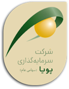 سرمایه گذاری پویا