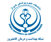 شبکه بهداشت و درمان کامفیروز